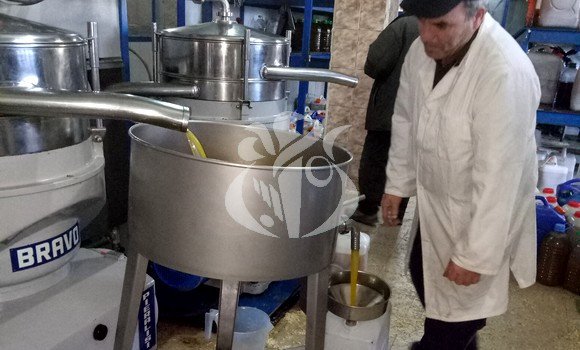 Tizi-Ouzou, une wilaya engagée dans la restructuration de la filière oléicole