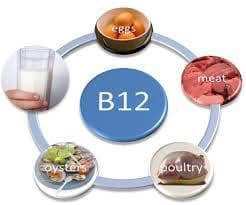 ما هو فيتامين b12 ؟