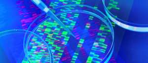 Analyse de l'origine : D’où est-ce que je viens'