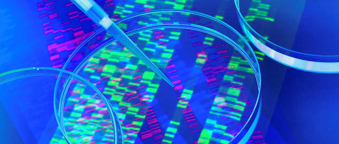 Analyse de l'origine : D’où est-ce que je viens'