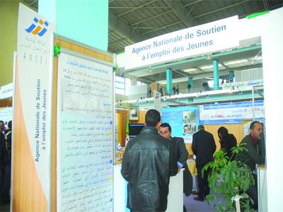 L'aventure «Ansej» entre réussite et désenchantement                                    Véritable parcours du combattant