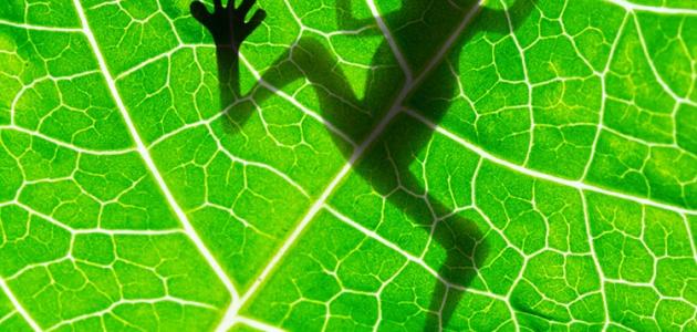 تعريف البيئة