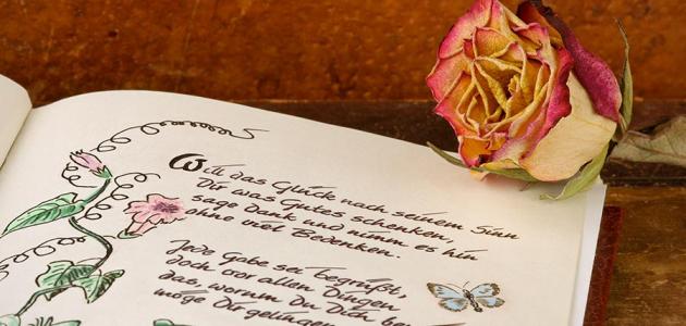 أجمل أشعار الحب