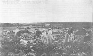 Les Arabes de Ouled Sidi Sheikh étaient les premiers Exilés par l’occupation française en “Nouvelle-Calédonie”