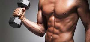 كم عدد عضلات جسم الانسان