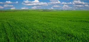 تعريف السهول