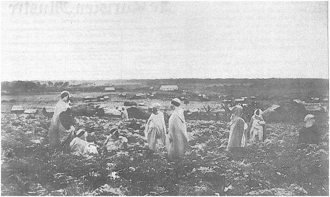 Les Arabes de Ouled Sidi Sheikh étaient les premiers Exilés par l’occupation française en “Nouvelle-Calédonie”