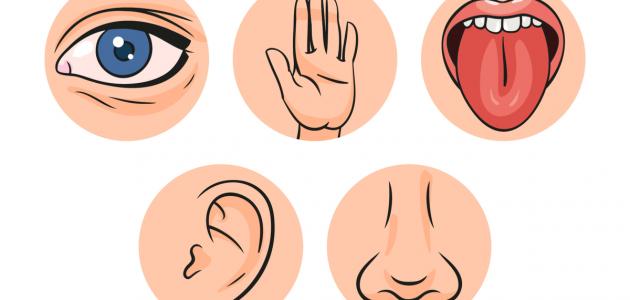 موضوع عن الحواس الخمس