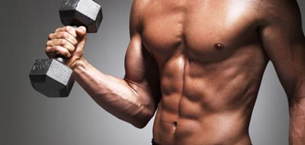 كم عدد عضلات جسم الانسان