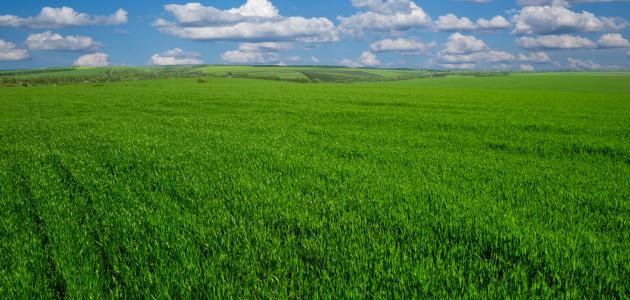 تعريف السهول