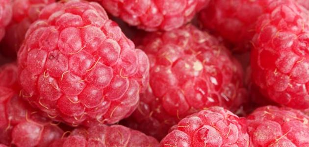 Ù￾ÙˆØ§Ø¦Ø¯ Ø§Ù„ØªÙˆØª