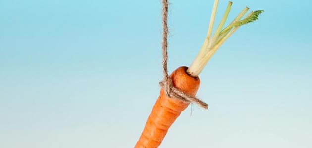 أنواع الحوافز