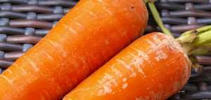 ما فوائد الجزر