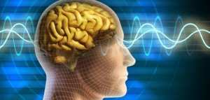 علاج لتقوية الذاكرة