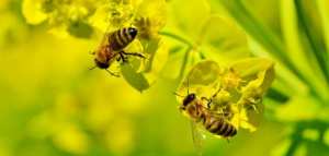 سر الله تعالى في خلقه