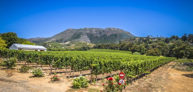 أين تقع كيب تاون