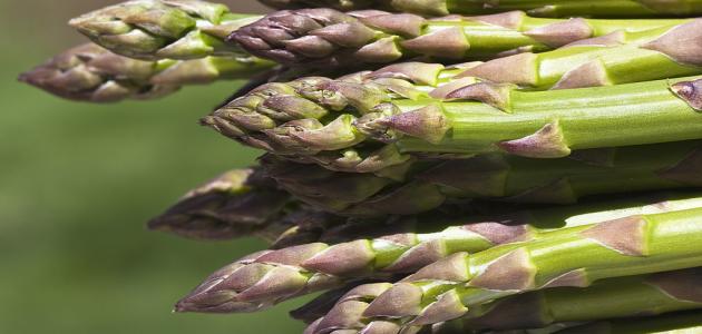 ما هو نبات الهليون