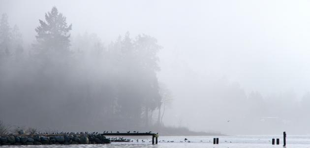 ما هو سبب الضباب