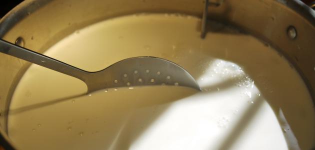 ما هي جبنة الريكوتا