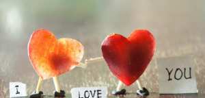 تقرير عن الحب