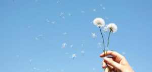 مفهوم الحرية فلسفياً