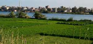 أين تقع بنها