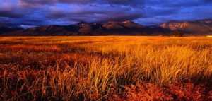 أين نزل آدم عليه السلام وزوجته