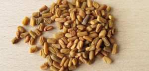 طريقة زيادة الوزن بالحلبة