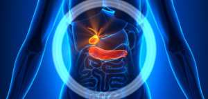 أين يقع البنكرياس