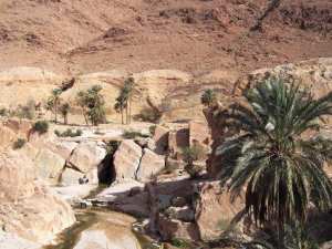 Huit bonnes raisons de visiter Bou Saâda