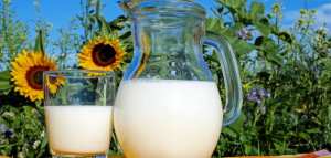 فوائد شرب الحليب