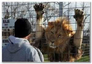 Réflexion L’Ombre et la Loi