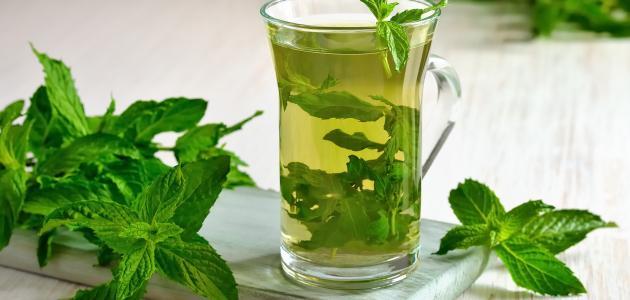 ما فوائد شرب النعناع