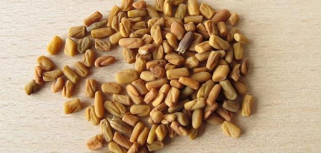 طريقة زيادة الوزن بالحلبة