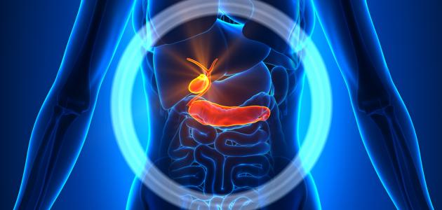 أين يقع البنكرياس