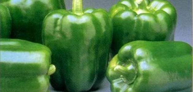 فوائد الفلفل الأخضر للشعر