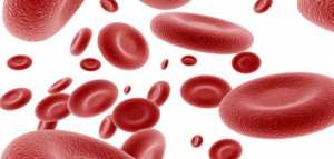 علاج فقر الدم بالأعشاب