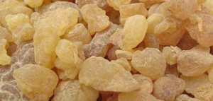 ما فوائد اللبان الذكر