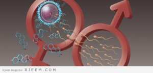 أعراض نقص هرمون الكورتيزول