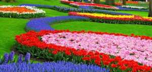 مقال عن عيد الربيع