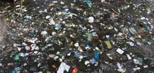 مقالة عن تلوث البيئة