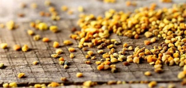 فوائد حبوب اللقاح للحمل