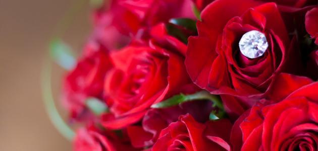 أجمل ما قيل في المرأة والحب