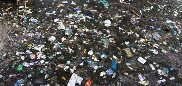 مقالة عن تلوث البيئة