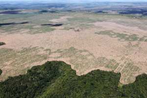 Planète - Brésil: la déforestation de l’Amazonie a augmenté de 88 % en un an