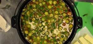 كيفية عمل ملاح التقلية