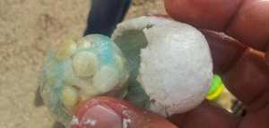 ما هي المخدرات وما أضرارها