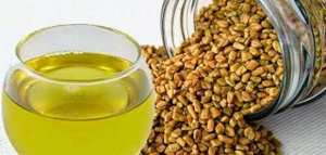 الحلبة لزيادة الوزن