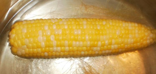 طريقة طهي الذرة