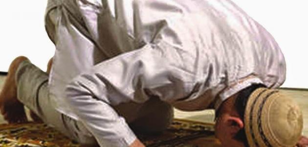 عدد السنن الرواتب للصلوات الخمس